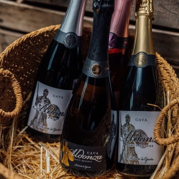 Cava Aldonza Brut