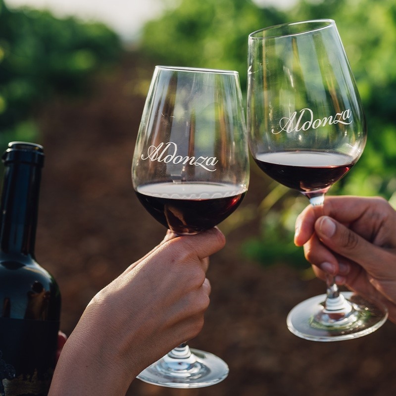 Vino tinto Aldonza Navamarín