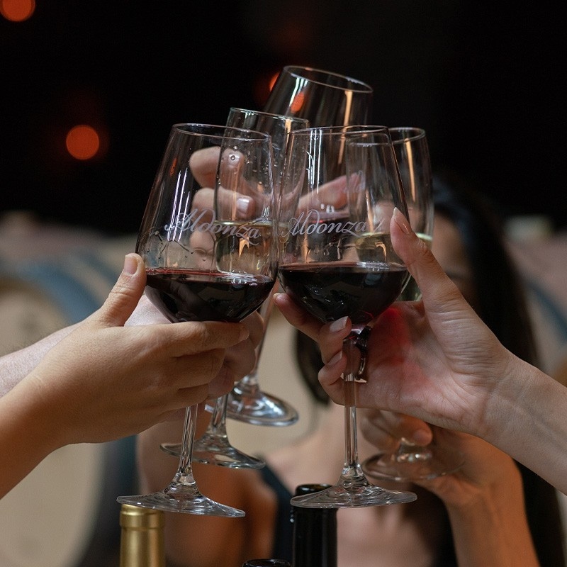 Vino tinto Aldonza Selección