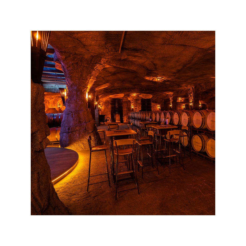 Entrada visita bodega grupos