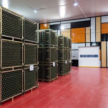 Entrada visita bodega grupos