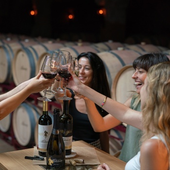 Entrada visita bodega grupos