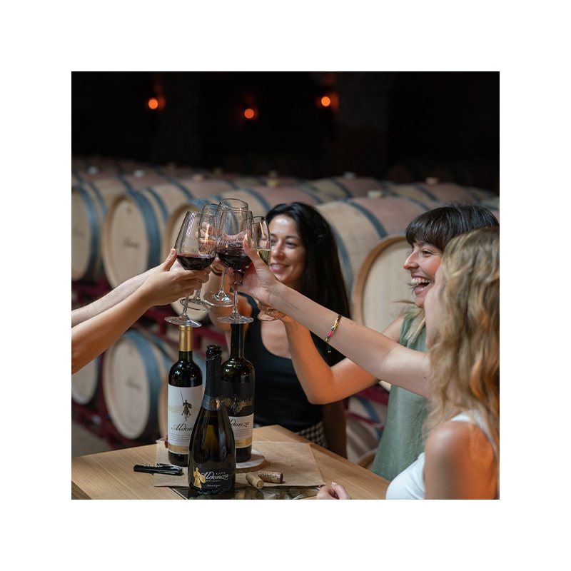 Entrada visita bodega grupos