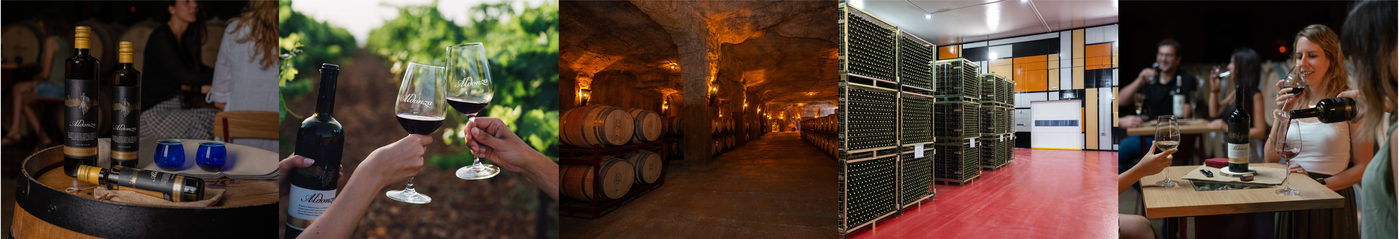 Enoturismo y Oleoturismo